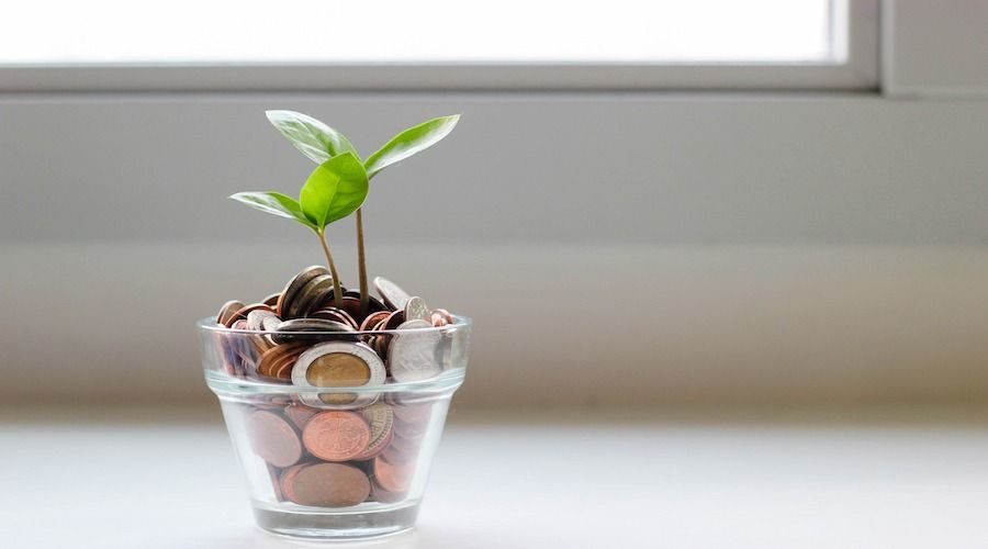 Dinero planta ahorros