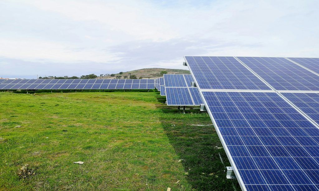 Placas solares en campo verde