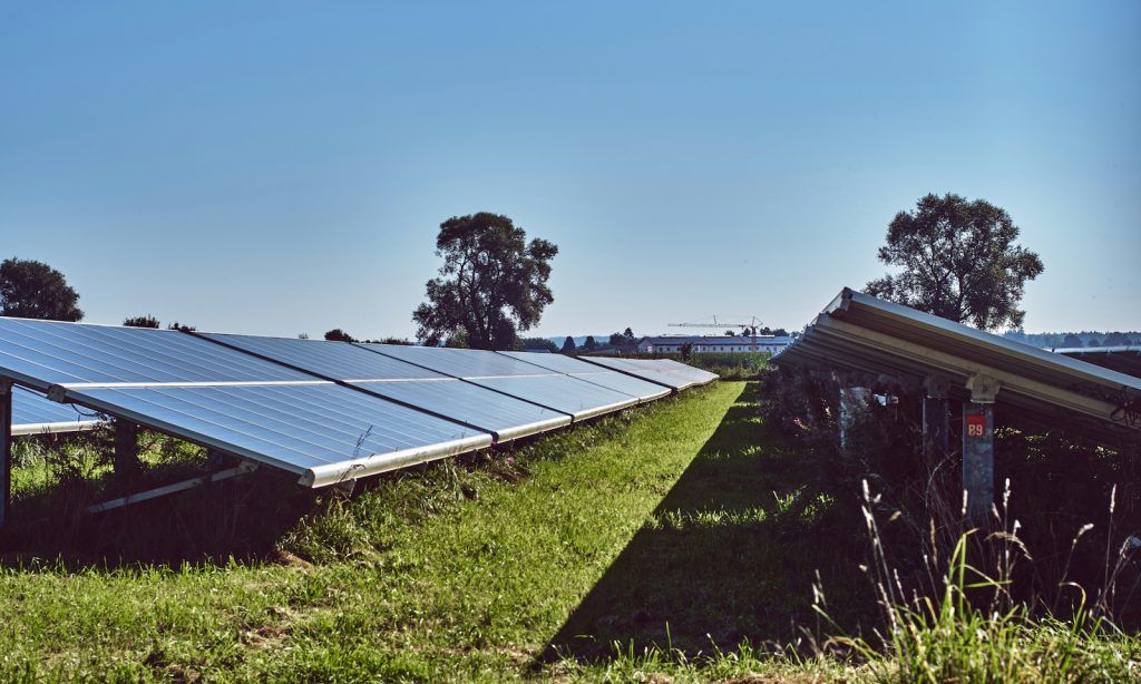 Placas solares en campo